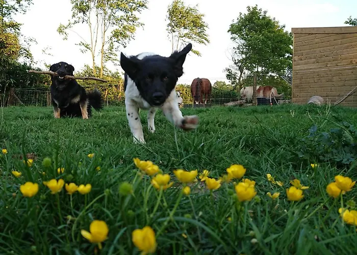 Kronenbergerhof Hotel